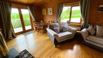 TV, fireplace, DVD player, books