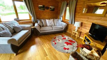 TV, fireplace, DVD player, books
