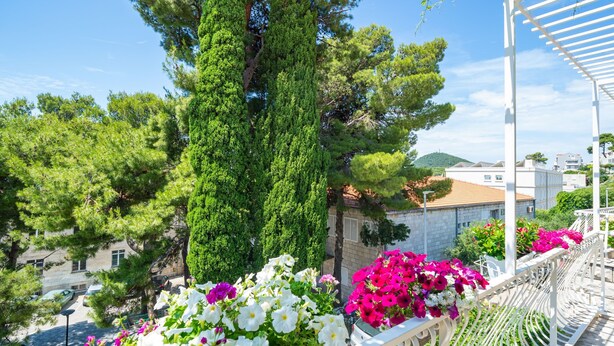 Un balcón con barandillas blancas, un árbol y flores.
