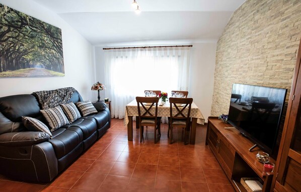 TV, fireplace, DVD player, books