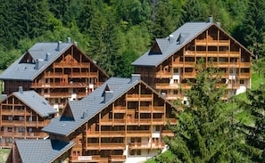 Exterior - Wifi, 50m from resort center, fitness, swimming pool, sauna, hammam, balcony, fireplace or stove, tv (Oz)