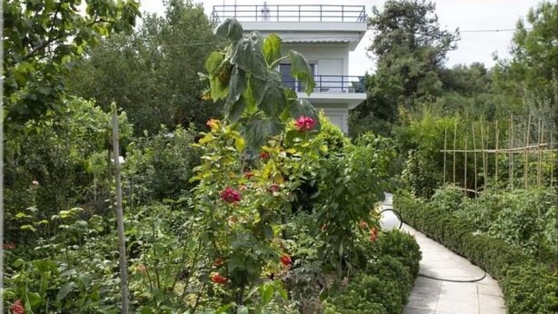 Un jardin avec un sentier menant à un bâtiment blanc doté d’un balcon.