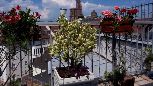 A rooftop garden with potted plants and flowers, a metal railing, and a view of a historic building in the background. - emilie 145m2 ac 1 free parking 4br 2bth (Strasbourg)