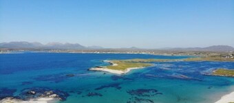 Nr. 8 Leitirshask, Ballyconneely - Fuld af landets levende smarte.