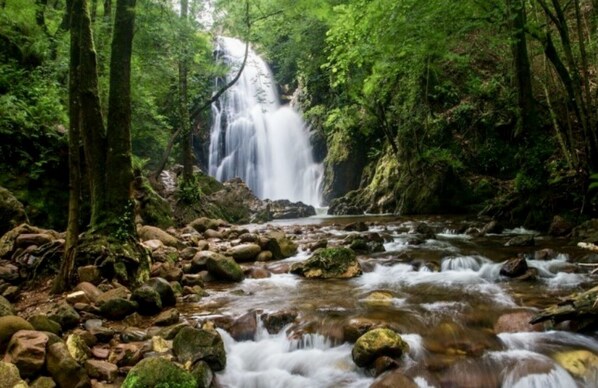 Una cascada en una zona boscosa amb roques i arbres.