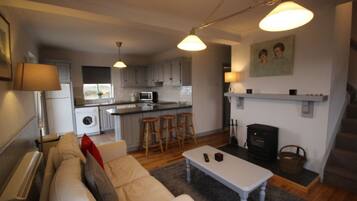 TV, fireplace, books