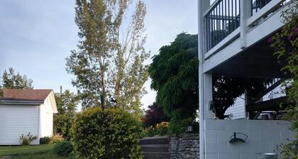 Rauhallinen aamuhorisontti katsomassa hevosia laiduntavat omassa tilassa.