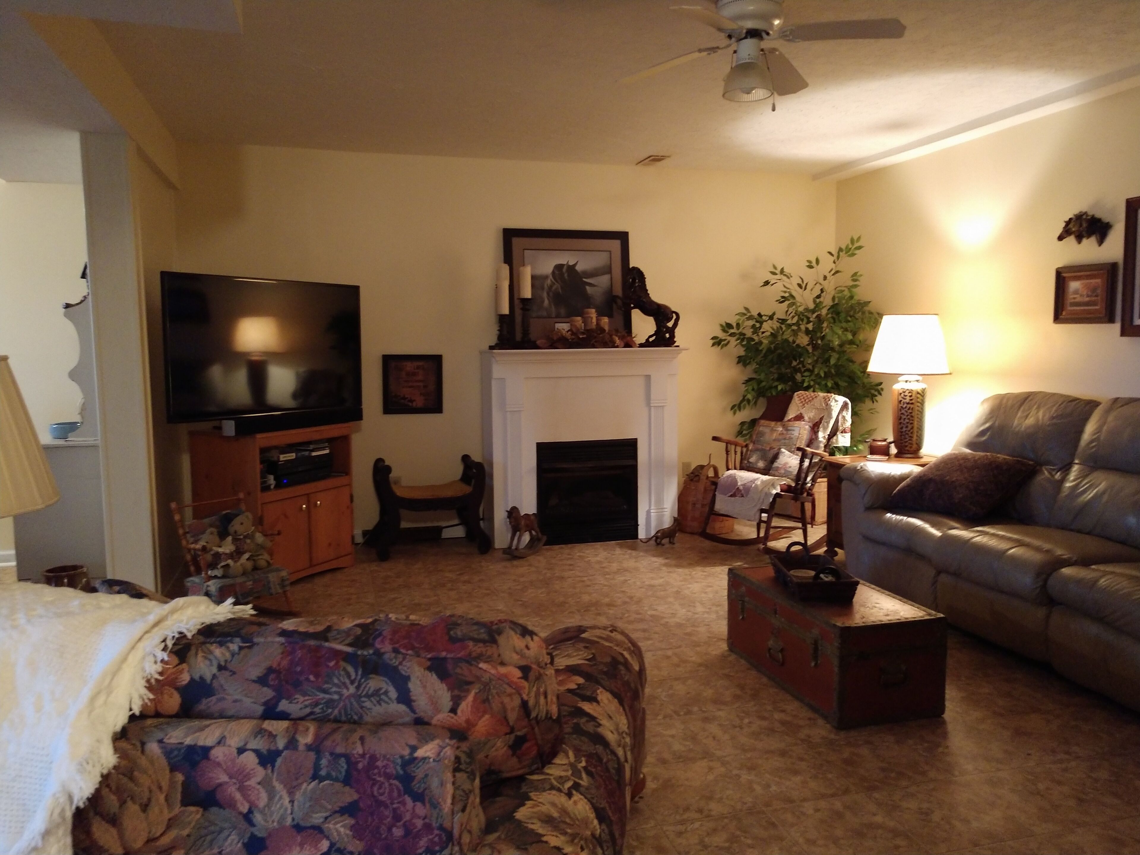 TV connectée, cheminée, lecteur de DVD, livres