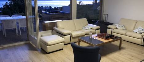 電視、壁爐、DVD 播放機、書籍