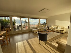 电视、壁炉、DVD 播放器、书