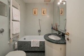 Shower, hair dryer, bidet, towels