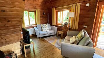 Télévision, cheminée, lecteur de DVD, livres