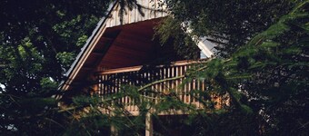 A cosy log cabin nestled in the woods. next to the river Deveron