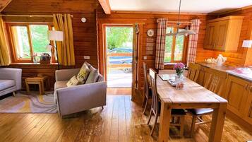 TV, fireplace, DVD player, books