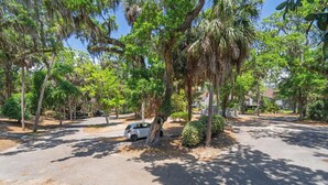 Calle residencial bordeada de árboles maduros y vehículos estacionados.
