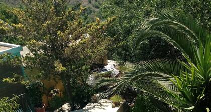 Escondite perfecto en Paphos