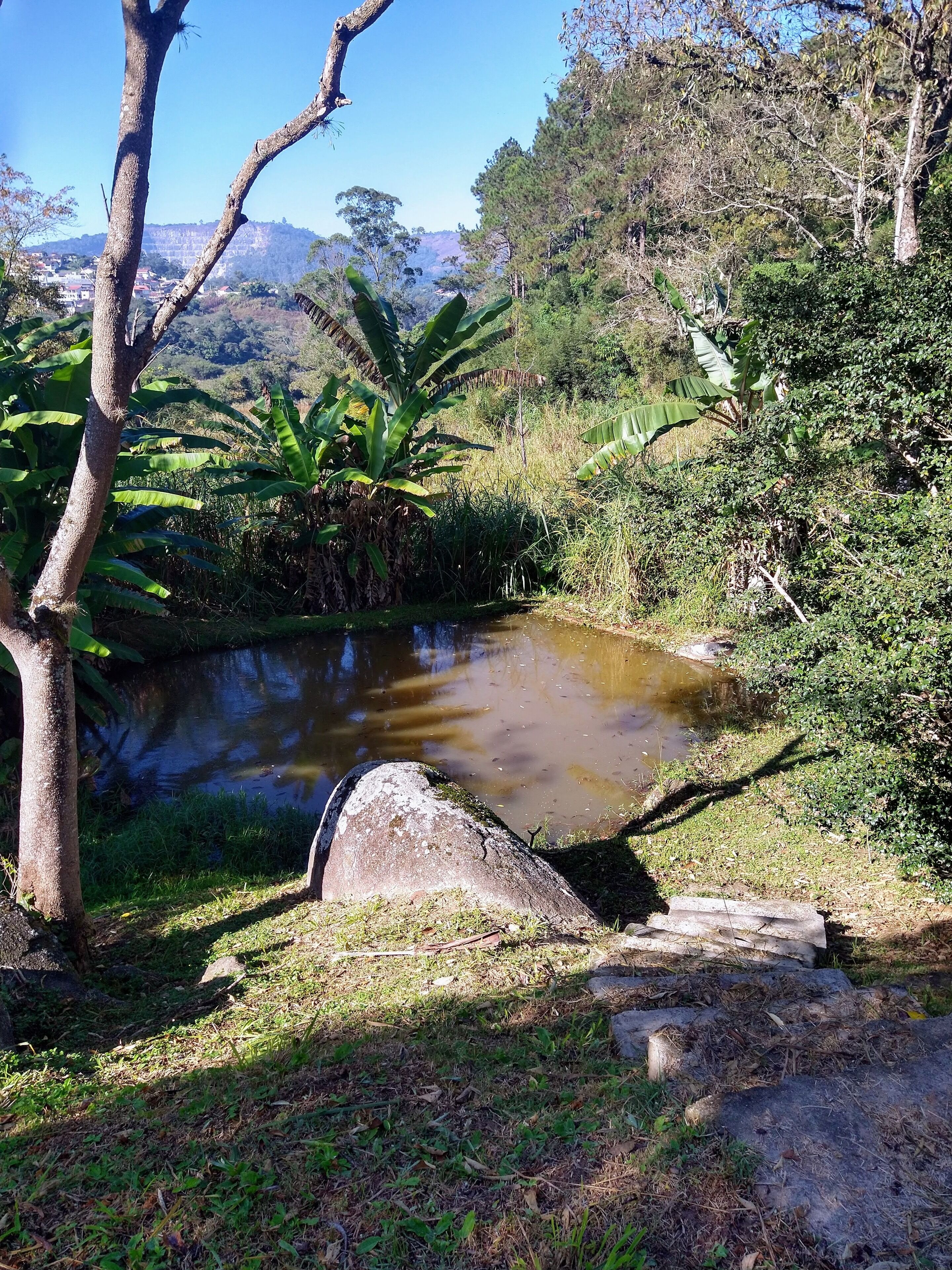Área da propriedade