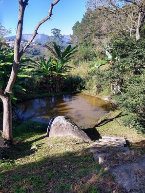 Property grounds - Picturesque bungalow (mairiporã)