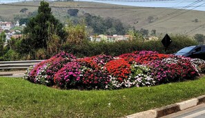 Property grounds - Picturesque bungalow (mairiporã)