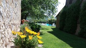 A garden area with a pathway, potted plants with yellow and red flowers, and a well-maintained lawn. - Independent flat 2 pax downstairs, in Villa, Siena View, Pool A/C, organic Farm (Siena)