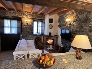 Smart TV, fireplace, books