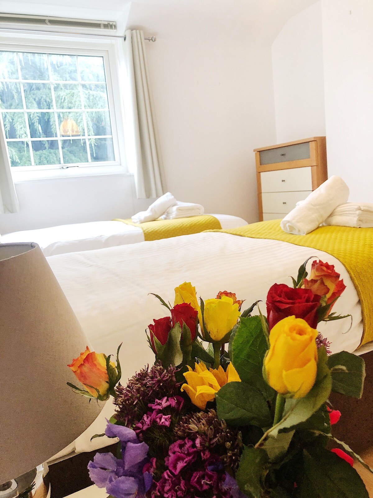 Image de profil de l’hôte