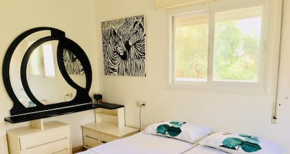 Big family hous.....