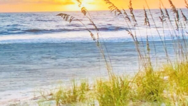 Escena de playa con olas, pastos y una puesta de sol.