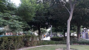Un parc avec une pelouse, des arbres et un sentier.