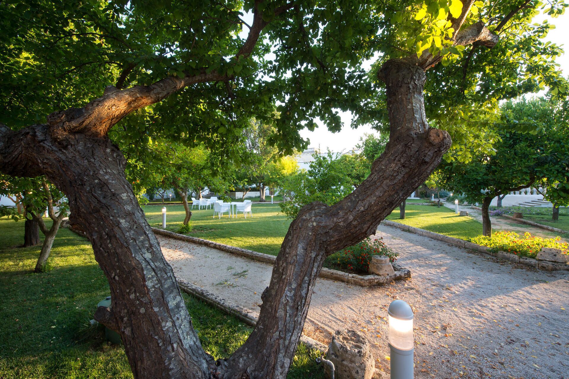 Parco della struttura