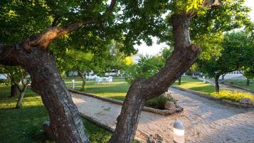 Parco della struttura