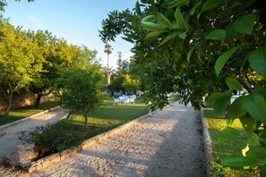 Parco della struttura