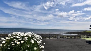 Una zona pavimentada con un parterre y vista al mar.