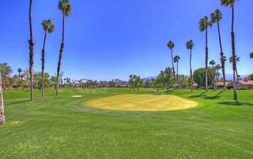 Backyard view