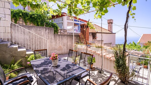 A patio with a table and chairs, a potted plant, and a view of a building with a red roof.