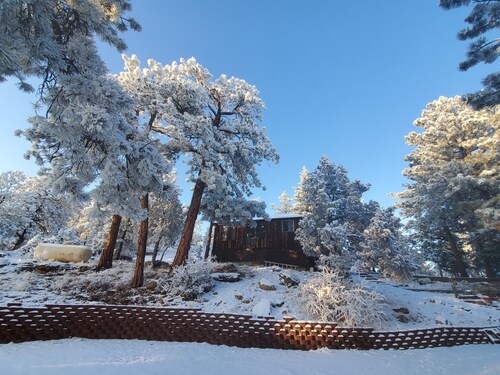 1900's Log Cabin with Spectacular Valley View