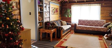 TV, lareira, DVD player, livros