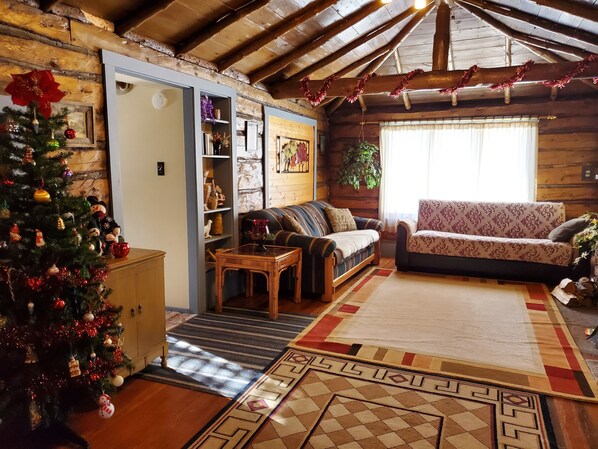 TV, fireplace, DVD player, books