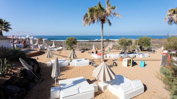Une plage avec des chaises longues blanches et des parasols, un palmier et une côte rocheuse.