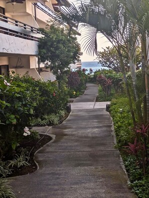 Parco della struttura