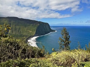 Eine Küstenlandschaft mit einer steilen Klippe, Meereswellen und dichtem Grün.