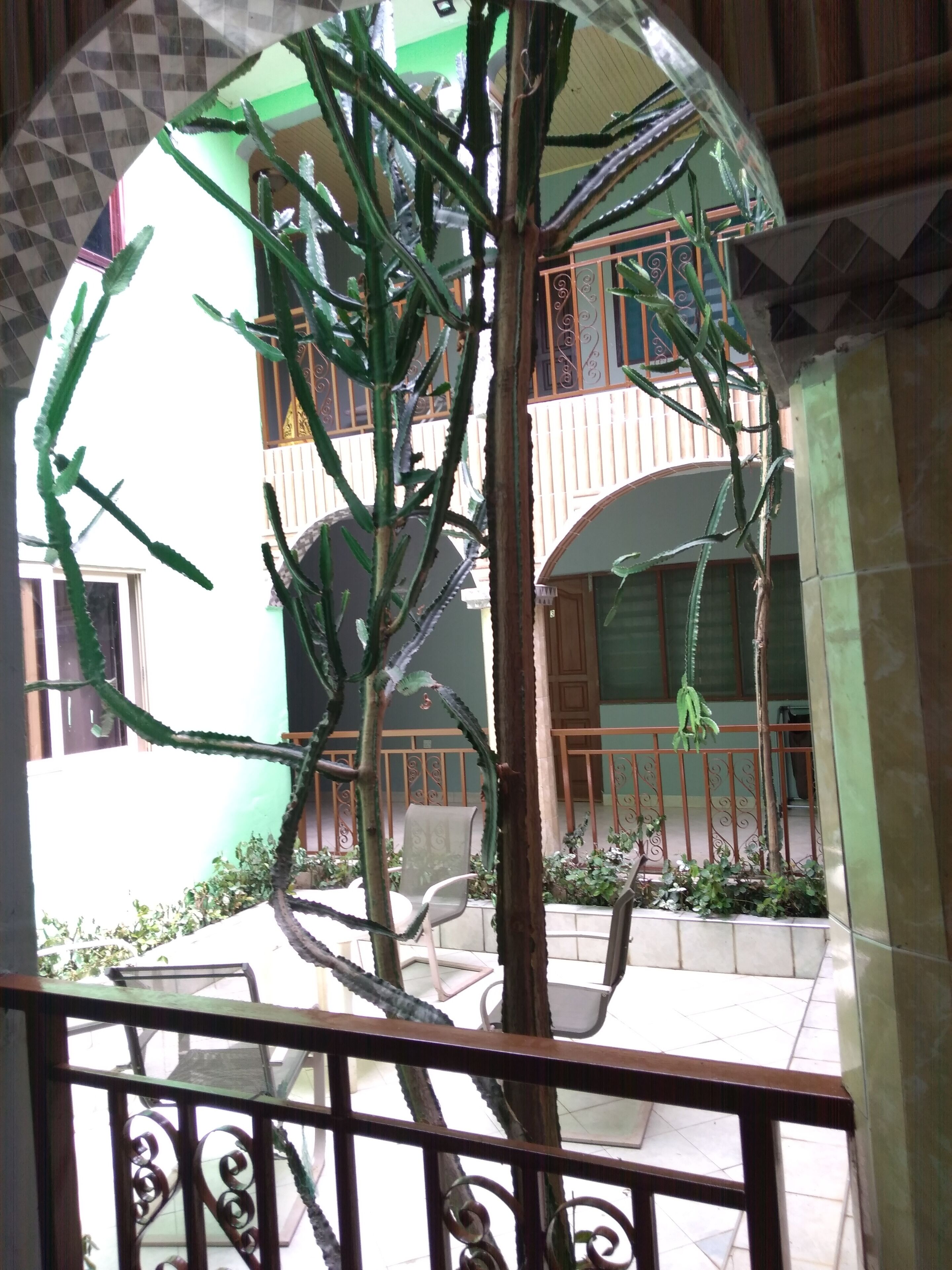 A courtyard with a tall cactus plant, a metal railing, and a building with a balcony in the background.
