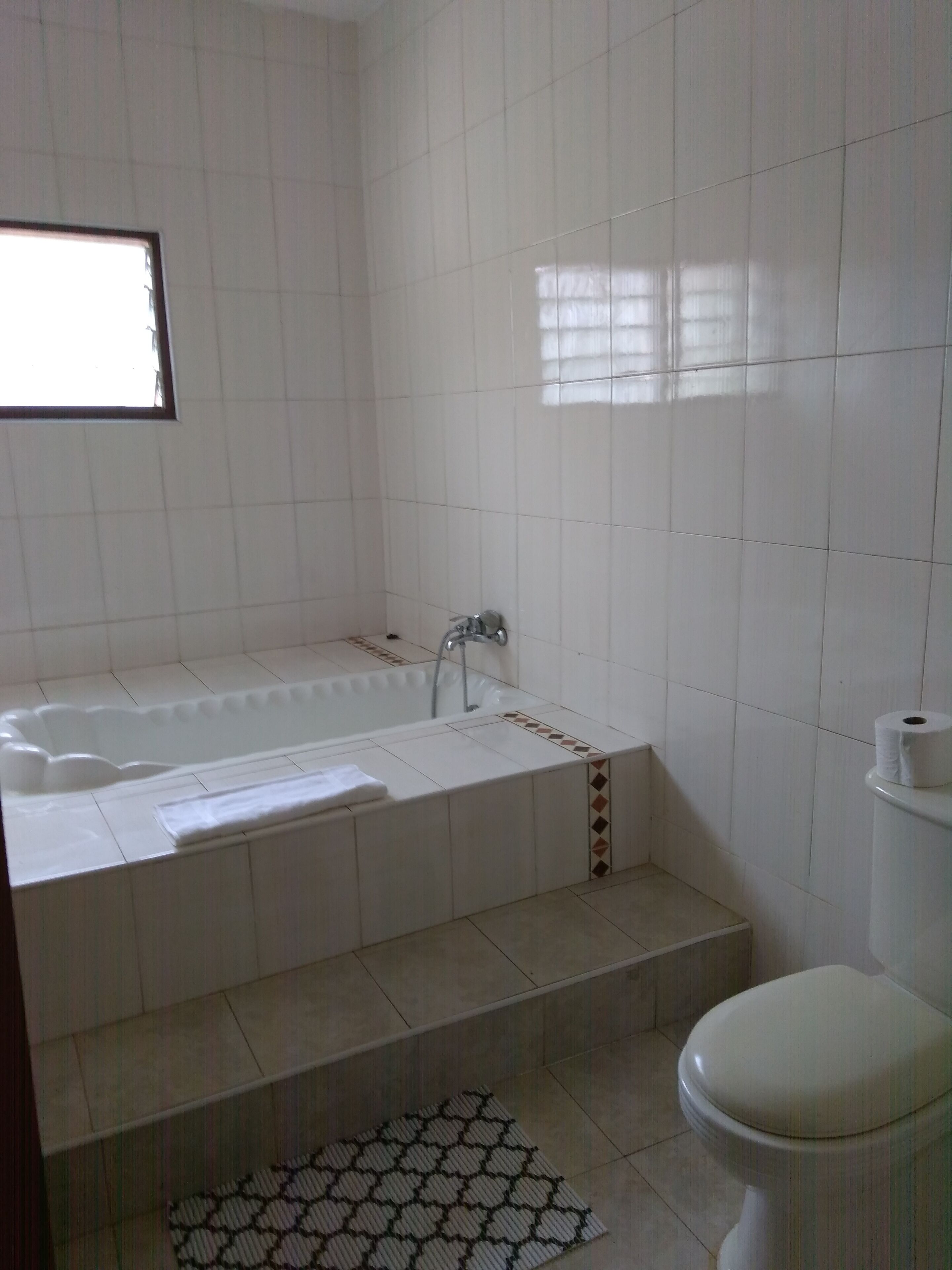 Badekar, håndklær, såpe og toalettpapir