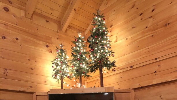 Una chimenea con un televisor sobre un mueble de madera, decorada con árboles de Navidad y adornos.
