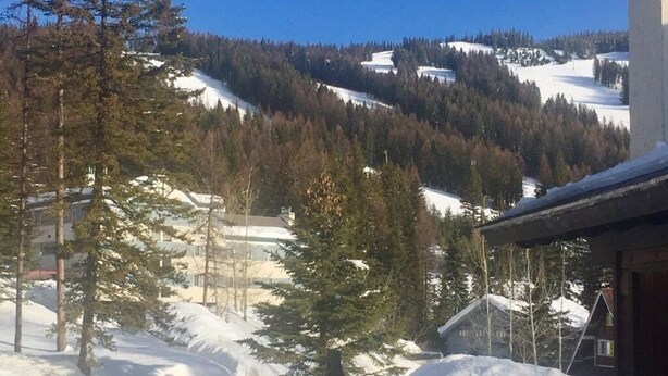 Un paysage montagneux enneigé avec des bâtiments et des arbres.