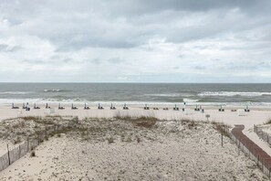 On the beach, sun-loungers - Tropic Isles 202   Direct beach front, Beautiful view, Close to everything (Gulf Shores)