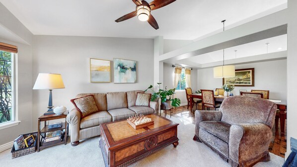 Smart TV, chimenea, reproductor de DVD y libros 