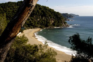 A coastal landscape with a sandy beach, dense green forest, and rocky cliffs.