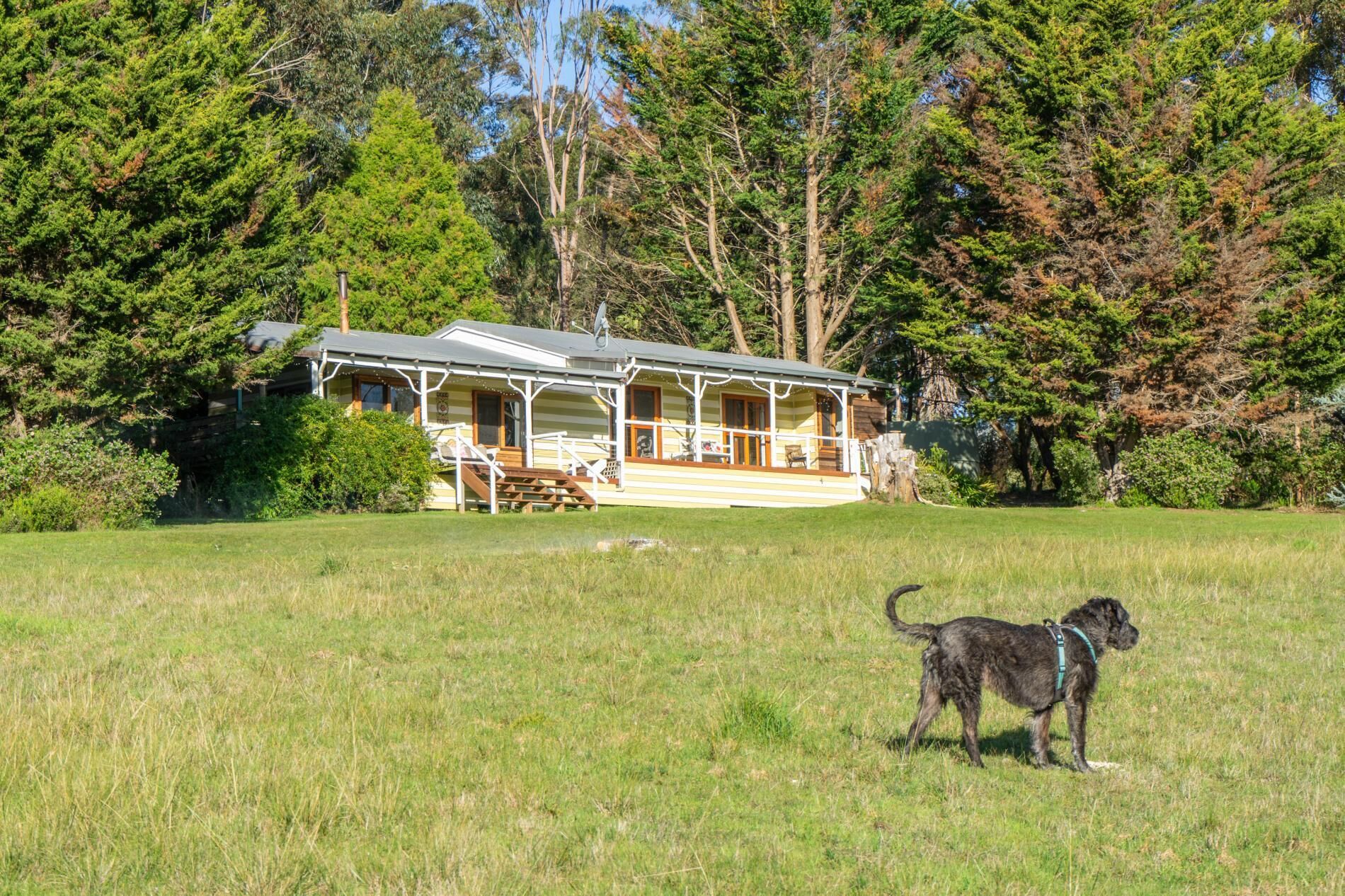 A lodge with a porch, surrounded by a grassy field and dense trees.