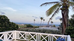 Um terraço no telhado com vista para o oceano, palmeiras e um corrimão branco.